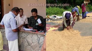 Kerala Supplyco fixes 2000kg limit for paddy procurement kgn Kerala Supplyco fixes 2000kg limit for paddy procurement kgn
