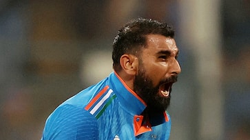 watch video mohammed shami record performance against new zealand watch video mohammed shami record performance against new zealand