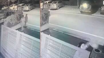 Punjab 2 women came by car steals flower pot in Mohali act captured in cctv goes viral akb Punjab 2 women came by car steals flower pot in Mohali act captured in cctv goes viral akb