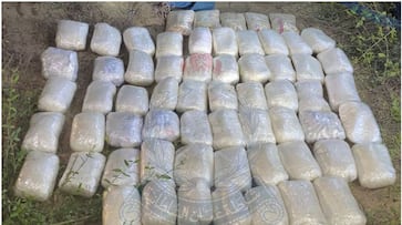six expats arrested for smuggling drug at oman joy six expats arrested for smuggling drug at oman joy