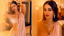 After Breakup With aditya roy kapoor Hot bikini pics of ananya panday Viral in Social Media san