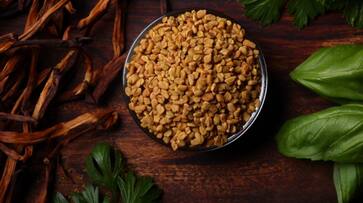Add Fenugreek Seeds To Your Diet For Health Add Fenugreek Seeds To Your Diet For Health