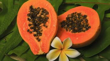 How to eat papaya seeds How to eat papaya seeds