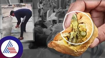 Man Shocked To Find Lizard Inside Samosa In UPs Hapur, Gilr Fallen Sick Vin Man Shocked To Find Lizard Inside Samosa In UPs Hapur, Gilr Fallen Sick Vin