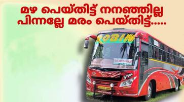 Robin Motors challenges MVD and transport minister ppp Robin Motors challenges MVD and transport minister ppp
