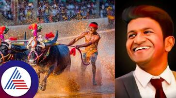 Benglauru kambala namma kambala Do you know what the Kambala committee did in Puneeth's memory rav Benglauru kambala namma kambala Do you know what the Kambala committee did in Puneeth's memory rav
