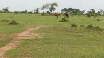 People Faces Problems For No Land Acquisition Process of KHB in Chamarajanagara grg People Faces Problems For No Land Acquisition Process of KHB in Chamarajanagara grg