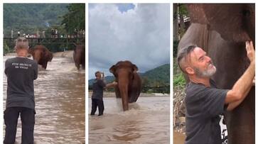 viral video of Elephants running to meet his human friend who returned after a month bkg viral video of Elephants running to meet his human friend who returned after a month bkg