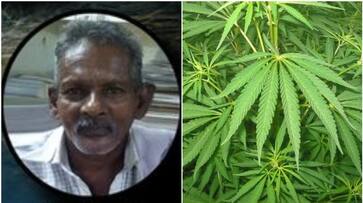 trivandrum excise arrested 68 year old in man ganja case joy trivandrum excise arrested 68 year old in man ganja case joy