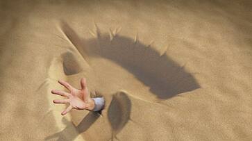 do you Know about quicksand bkg do you Know about quicksand bkg