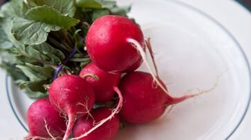 merits of eating radish daily merits of eating radish daily