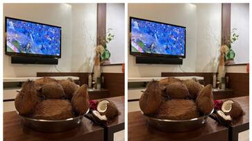 native of Thane ordered 51 coconut from Swiggy to help India win the World Cup cricket final bkg native of Thane ordered 51 coconut from Swiggy to help India win the World Cup cricket final bkg