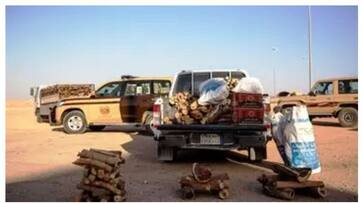 seven foreigners arrested in saudi for illegal firewood sale seven foreigners arrested in saudi for illegal firewood sale