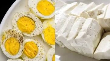 egg or paneer which is a better source of protein egg or paneer which is a better source of protein