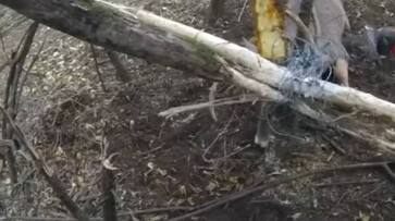 officers rescuing deer trapped in wires rlp officers rescuing deer trapped in wires rlp