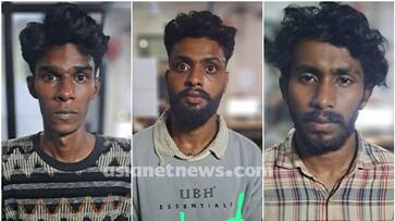 3 people arrested In malappuram for assaulting a youth and moral policing apn 3 people arrested In malappuram for assaulting a youth and moral policing apn