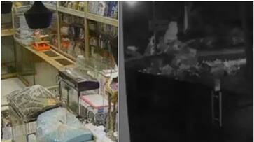 Police arrested man who broke into a pet shop in Kottayam Etumanoor and stole money and puppies asd Police arrested man who broke into a pet shop in Kottayam Etumanoor and stole money and puppies asd