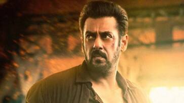 Tiger 3 box office collection report out In India earns 10 25 crore in Monday hrk Tiger 3 box office collection report out In India earns 10 25 crore in Monday hrk