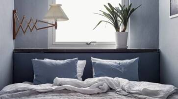 people renting out half bed in toronto rlp people renting out half bed in toronto rlp