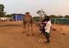 In Coimbatore, authorities seized animals that were not properly cared for vel