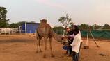 In Coimbatore, authorities seized animals that were not properly cared for vel