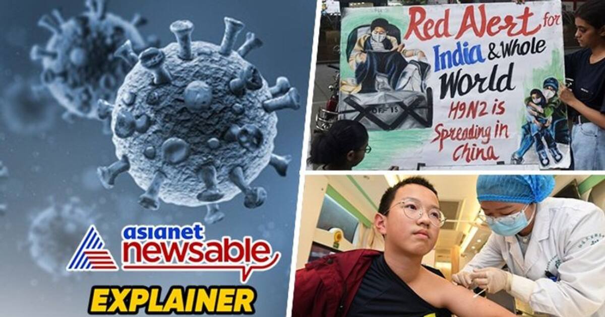 H9N2 avian influenza explained: Causes, symptoms and precautions amid ...