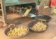 Farmers Angry on Government For Separate Meter for Nut Peeling Machine grg 