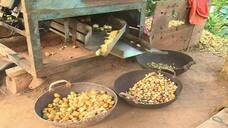 Farmers Angry on Government For Separate Meter for Nut Peeling Machine grg 