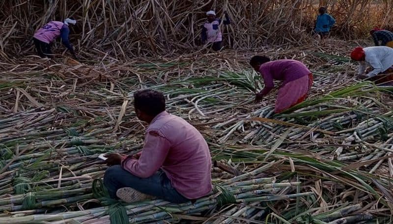 Ramadoss request to increase the procurement price of sugarcane KAK