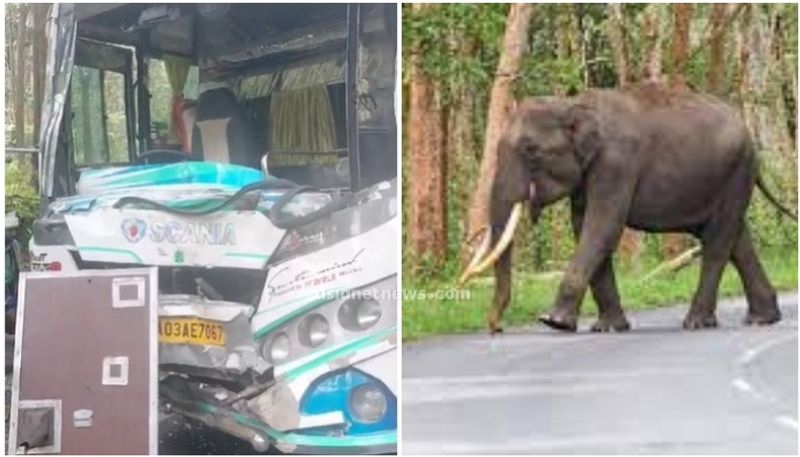 A elephant attack on a vehicle carrying sabarimala Ayyappa devotees, children injured apn