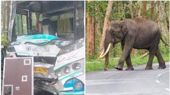 A elephant attack on a vehicle carrying sabarimala Ayyappa devotees, children injured apn