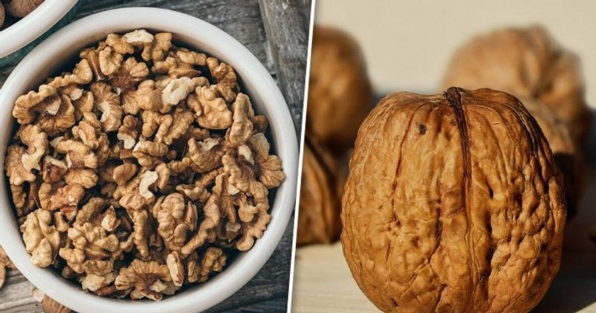Heart health to brain function 7 benefits of eating Walnuts