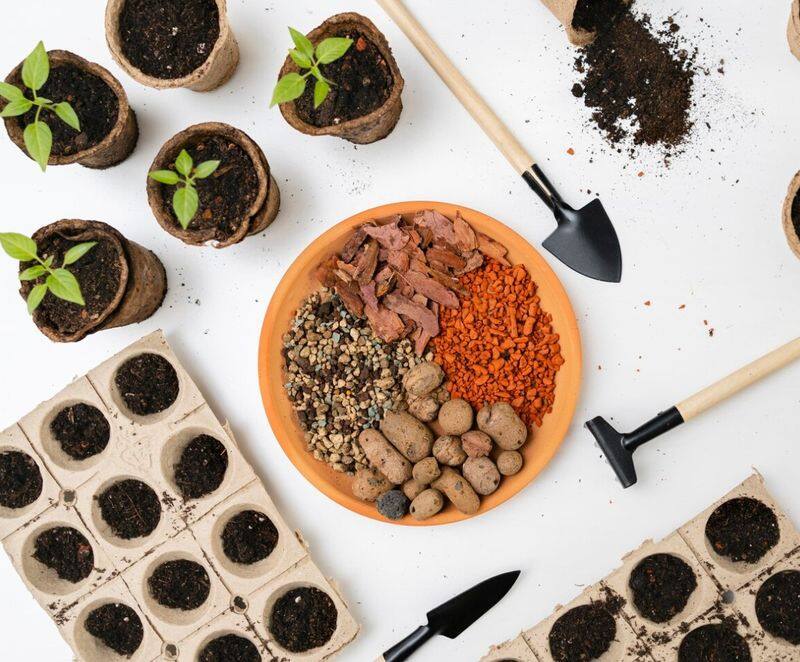 World Soil Day: Tips and tricks for home gardeners to promote soil health SHG