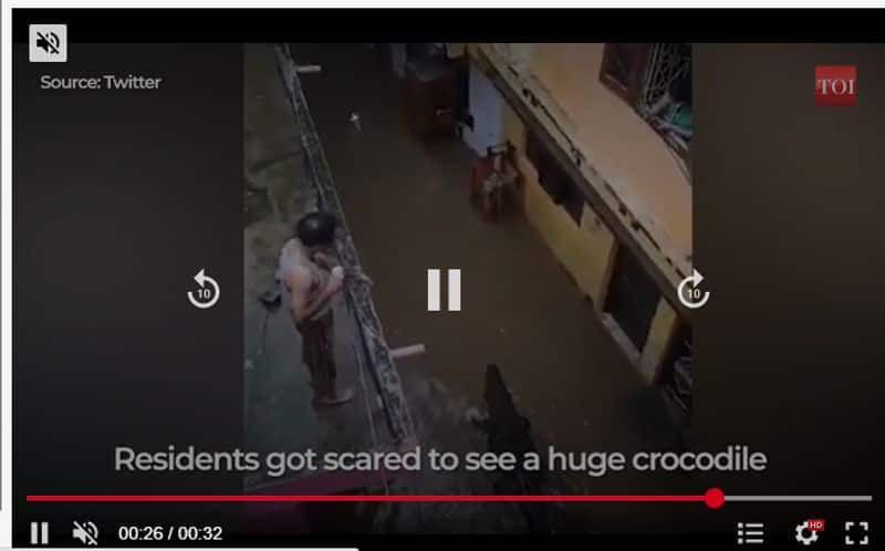 Cyclone Michaung Video of crocodile spotted in Chennai city is fake here is the fact check jje 