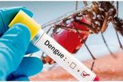 Dengue case crossed 200 mark in Shivamogga gvd