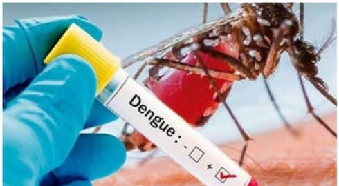 Dengue fever cases  increases Health Department warns to be cautious