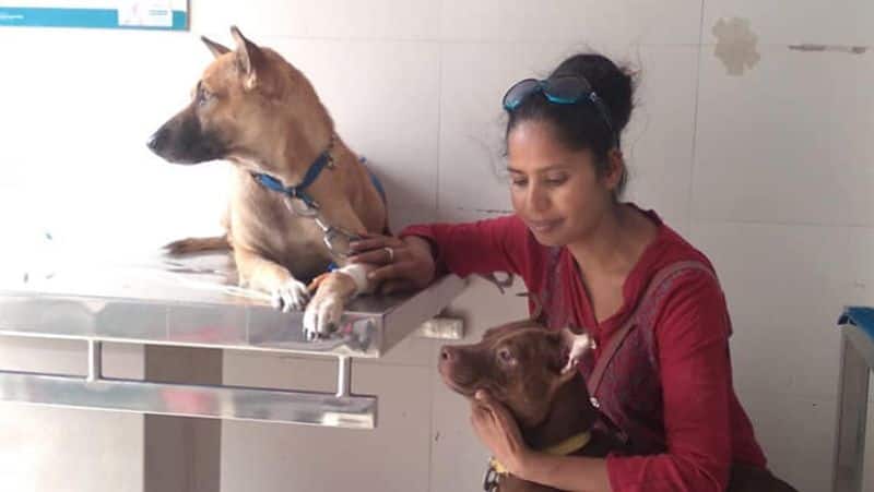 Sharing home with 85 animals Sushma Singh mission to provide care to homeless animals iwh