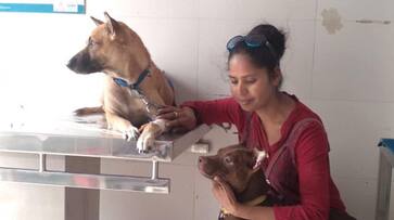 Sharing home with 85 animals Sushma Singh mission to provide care to homeless animals iwh