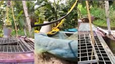 Water motor pumps were stolen from six houses on the same day ppp