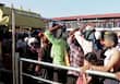  Sabarimala priest's helper collapses and dies