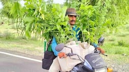 rajasthan barmer teacher bhairaram bhakhar planted more than 4 lacs trees in thar desert zkamn
