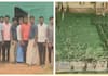 Silk growers of koppal in problem nbn