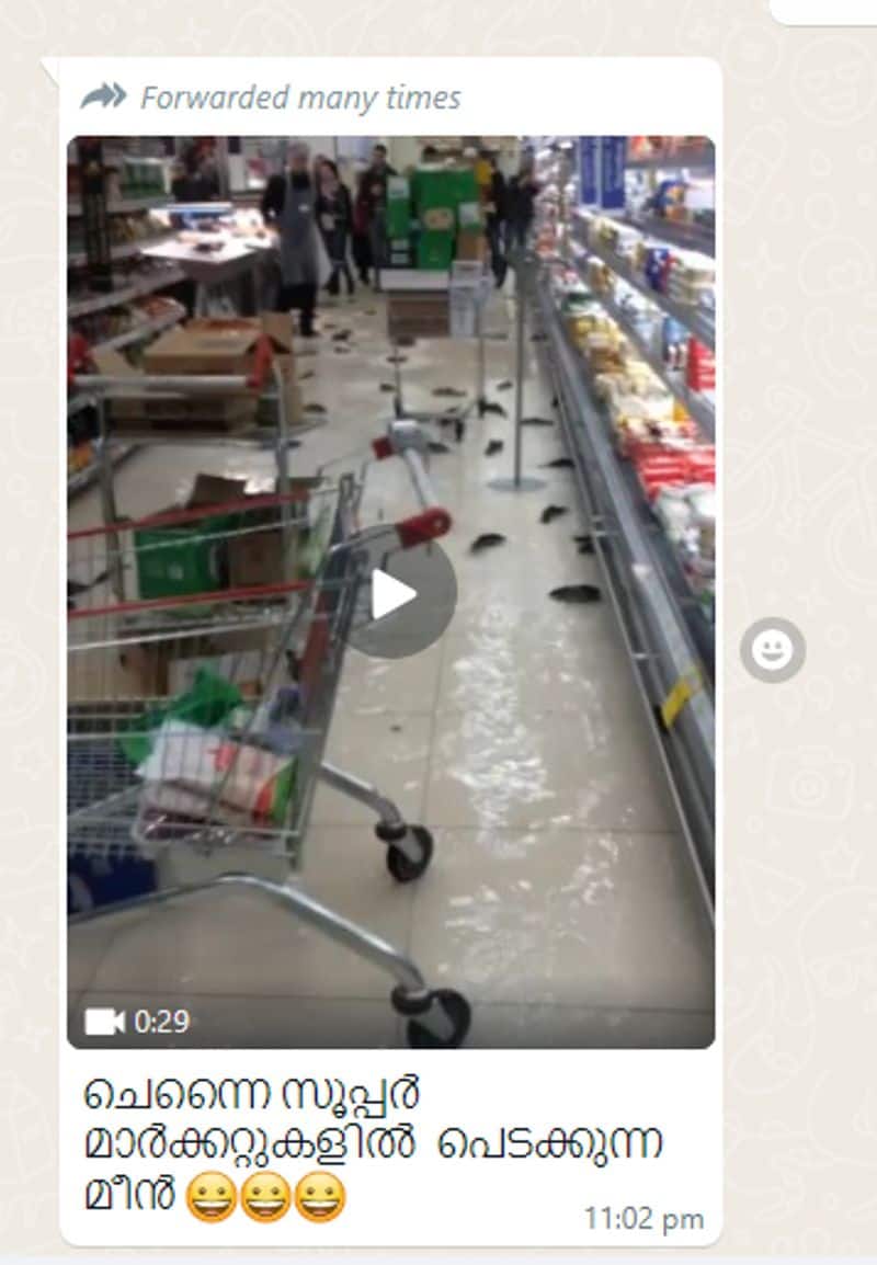 fish flapping on supermarket floor not from chennai fact check jje 