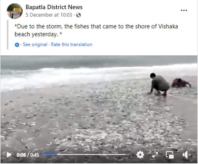 Fish washing ashore at Visakhapatnam during Cyclone Michaung fact check jje