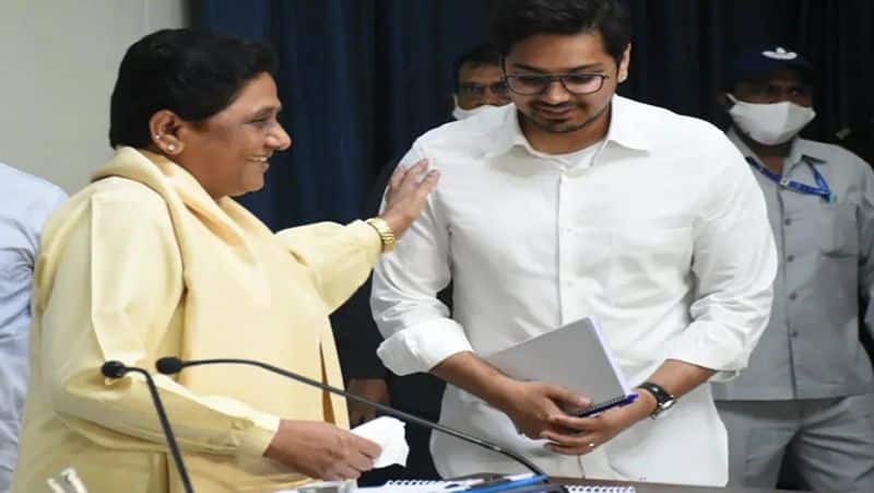 bsp chief mayawati latest news who is akash anand know about him kxa 