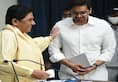 bsp chief mayawati latest news who is akash anand know about him kxa 