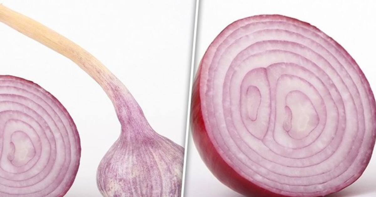 Heart health to Digestive properties 7 benefits of consuming raw onions