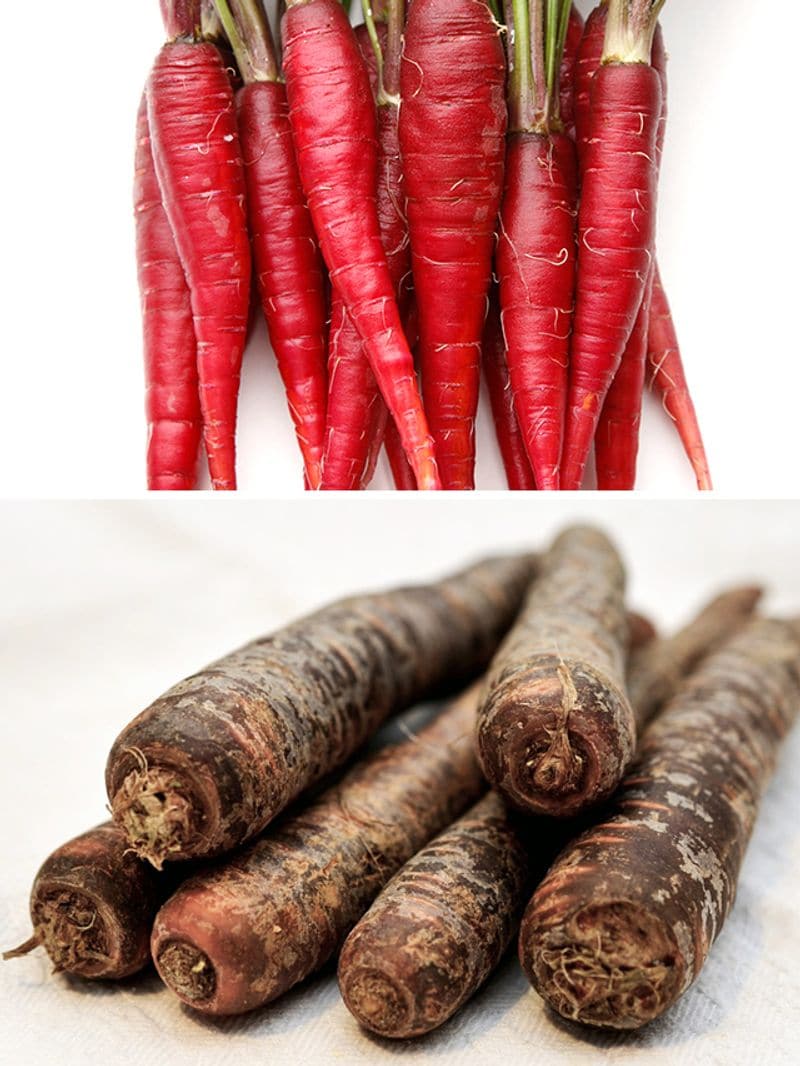 Red to Purple 7 types of Carrots and their benefits