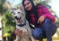 Animal Welfare Sonal Gupta mission to rescue helpless animals kota-girl-sonal-gupta-rescued-5000-animals iwh