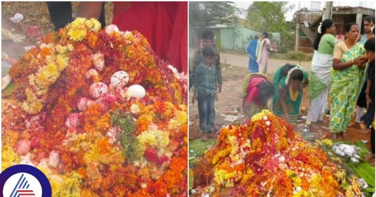 Snake: ಷಷ್ಠಿ ಪಂಚಮಿಯಂದು ಹಾವಿನ ಹುತ್ತಕ್ಕೆ ಕೋಳಿ ಮೊಟ್ಟೆ, ರಕ್ತ ಅರ್ಪಿಸಿದರೆ ...